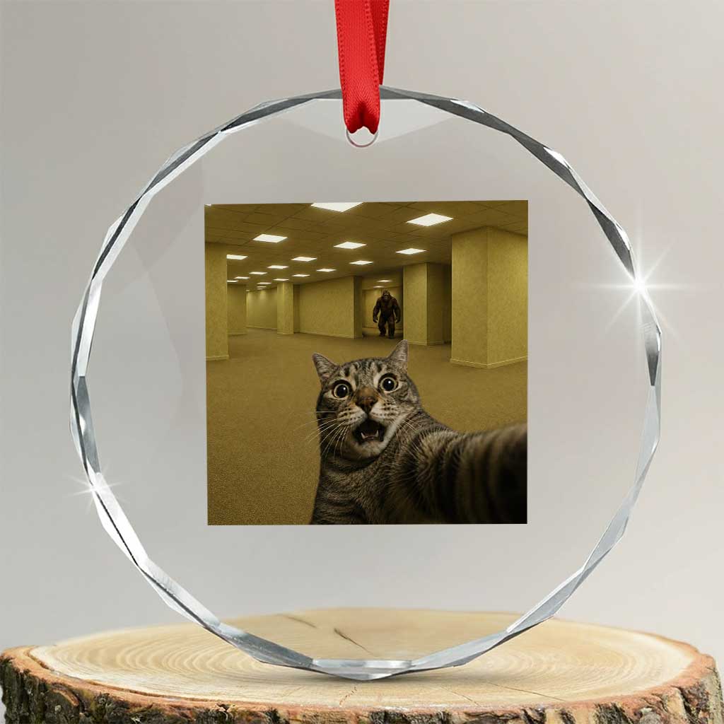 Funny Cat Selfie with Bigfoot Sasquatch Backrooms Liminal Space Meme Crystal Glass Ornament TS10 Transparent Glass 3'' Circle Print Your Wear