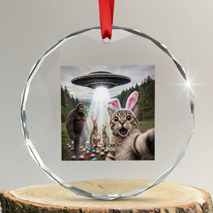 Funny Cat Selfie with Easter Bunny Bigfoot UFO Crystal Glass Ornament TS11 Transparent Glass 3'' Circle Print Your Wear