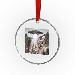 Funny Cat Selfie with Easter Bunny Bigfoot UFO Crystal Glass Ornament TS11 Print Your Wear