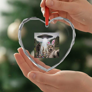 Funny Cat Selfie with Easter Bunny Bigfoot UFO Heart Crystal Glass Ornament TS11 Print Your Wear