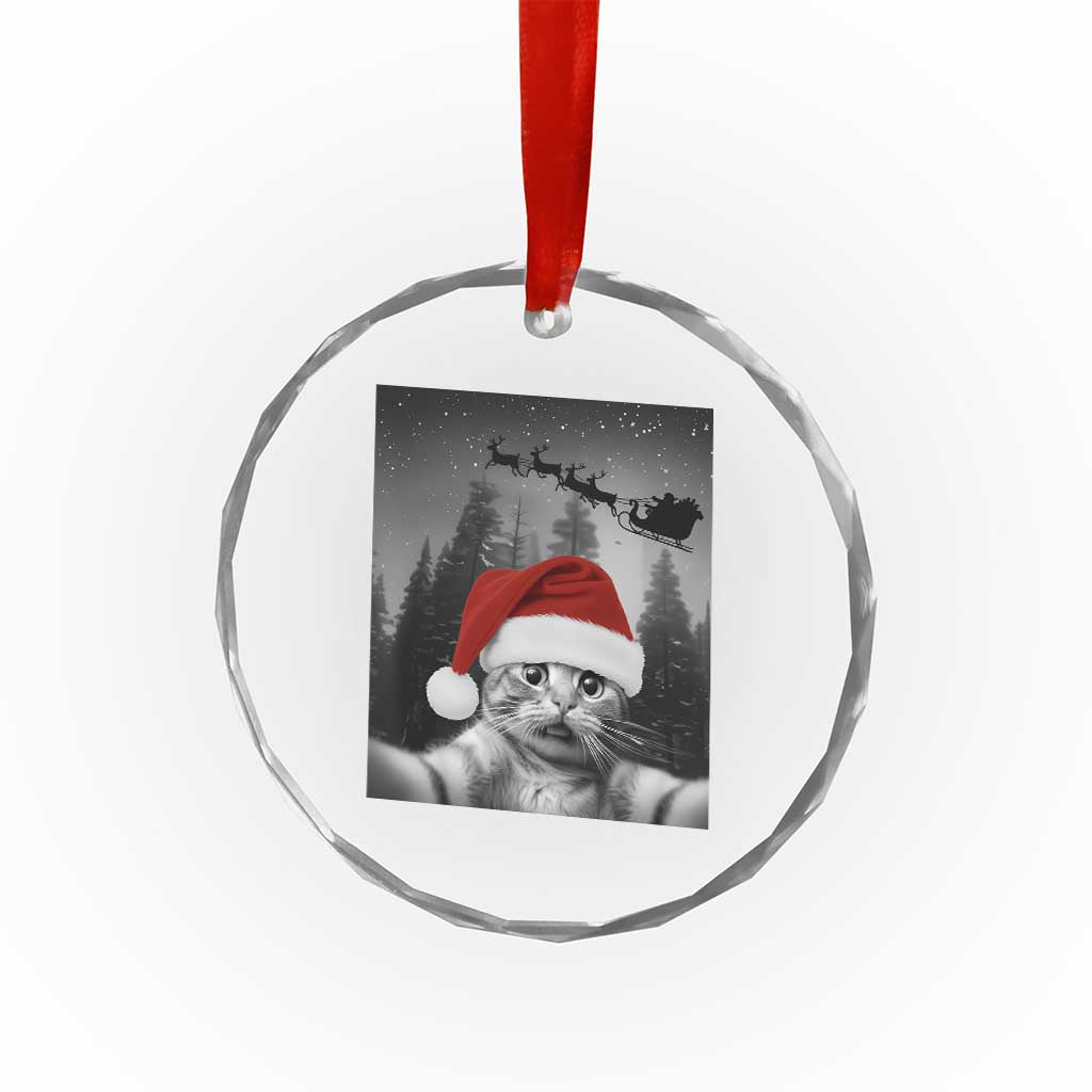Funny Cat Selfie With Santas Sleigh Christmas Crystal Glass Ornament TS11 Print Your Wear