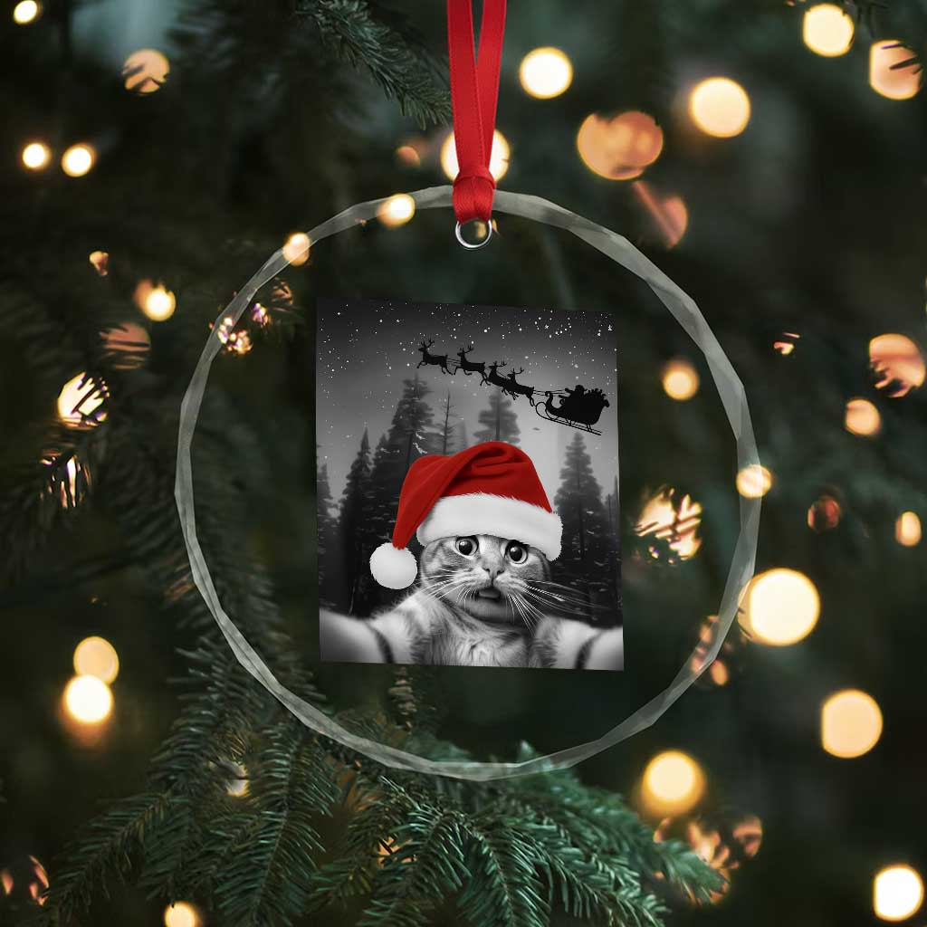 Funny Cat Selfie With Santas Sleigh Christmas Crystal Glass Ornament TS11 Print Your Wear