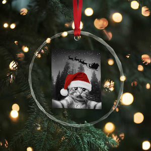 Funny Cat Selfie With Santas Sleigh Christmas Crystal Glass Ornament TS11 Print Your Wear