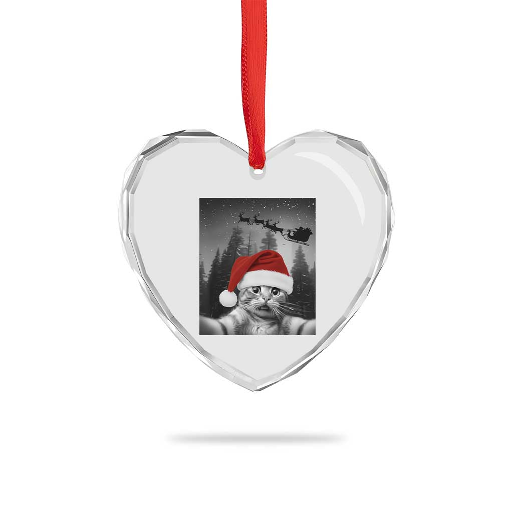 Funny Cat Selfie With Santas Sleigh Christmas Heart Crystal Glass Ornament TS11 Print Your Wear