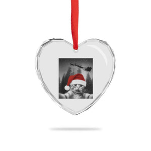 Funny Cat Selfie With Santas Sleigh Christmas Heart Crystal Glass Ornament TS11 Print Your Wear