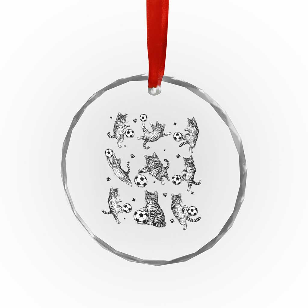 Funny Cat Soccer Player Crystal Glass Ornament Gift For Soccer Lovers TS12 Print Your Wear