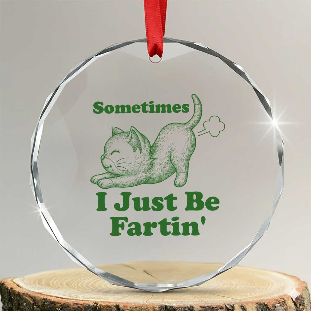 Funny Cat Sometimes I Just Be Fartin Crystal Glass Ornament Pet Lover TS12 Transparent Glass 3'' Circle Print Your Wear