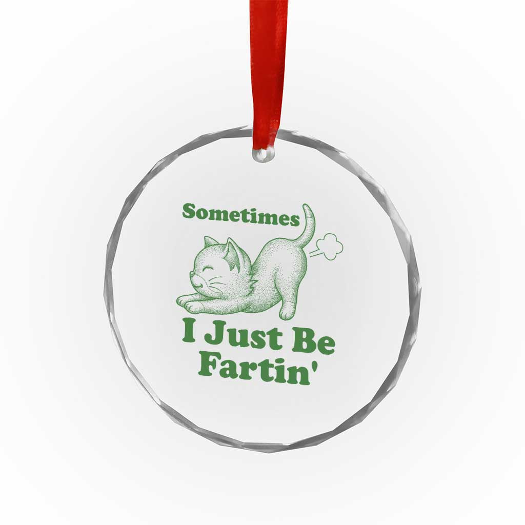 Funny Cat Sometimes I Just Be Fartin Crystal Glass Ornament Pet Lover TS12 Print Your Wear