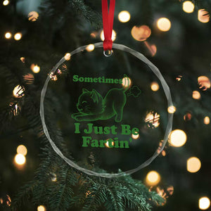 Funny Cat Sometimes I Just Be Fartin Crystal Glass Ornament Pet Lover TS12 Print Your Wear