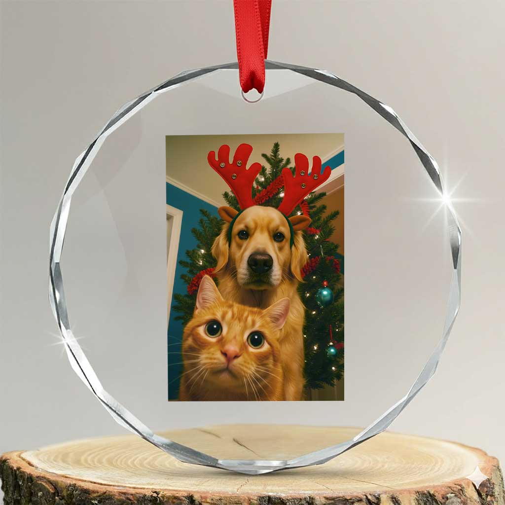 Funny Cat With Dog Selfie Christmas Crystal Glass Ornament Pet Lover Xmas Gift TS14 Transparent Glass 3'' Circle Print Your Wear