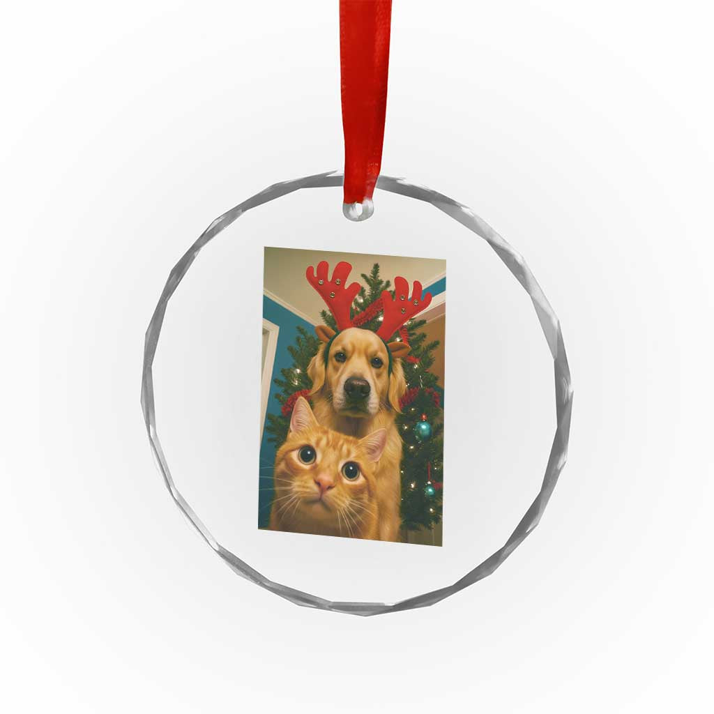 Funny Cat With Dog Selfie Christmas Crystal Glass Ornament Pet Lover Xmas Gift TS14 Print Your Wear