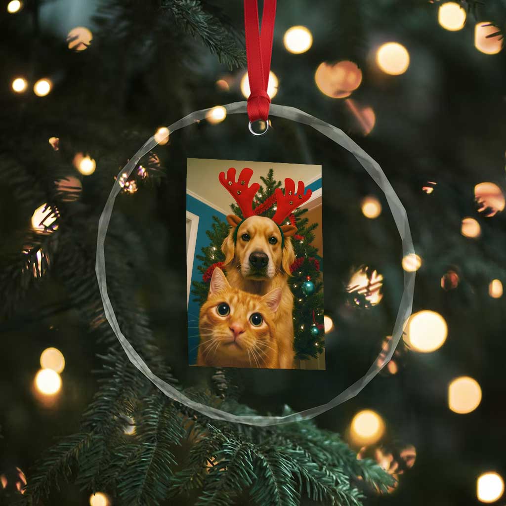 Funny Cat With Dog Selfie Christmas Crystal Glass Ornament Pet Lover Xmas Gift TS14 Print Your Wear