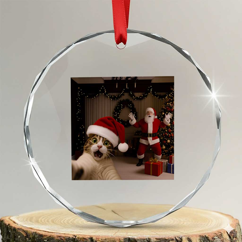 Funny Cat With Santa Selfie Christmas Crystal Glass Ornament TS14 Transparent Glass 3'' Circle Print Your Wear