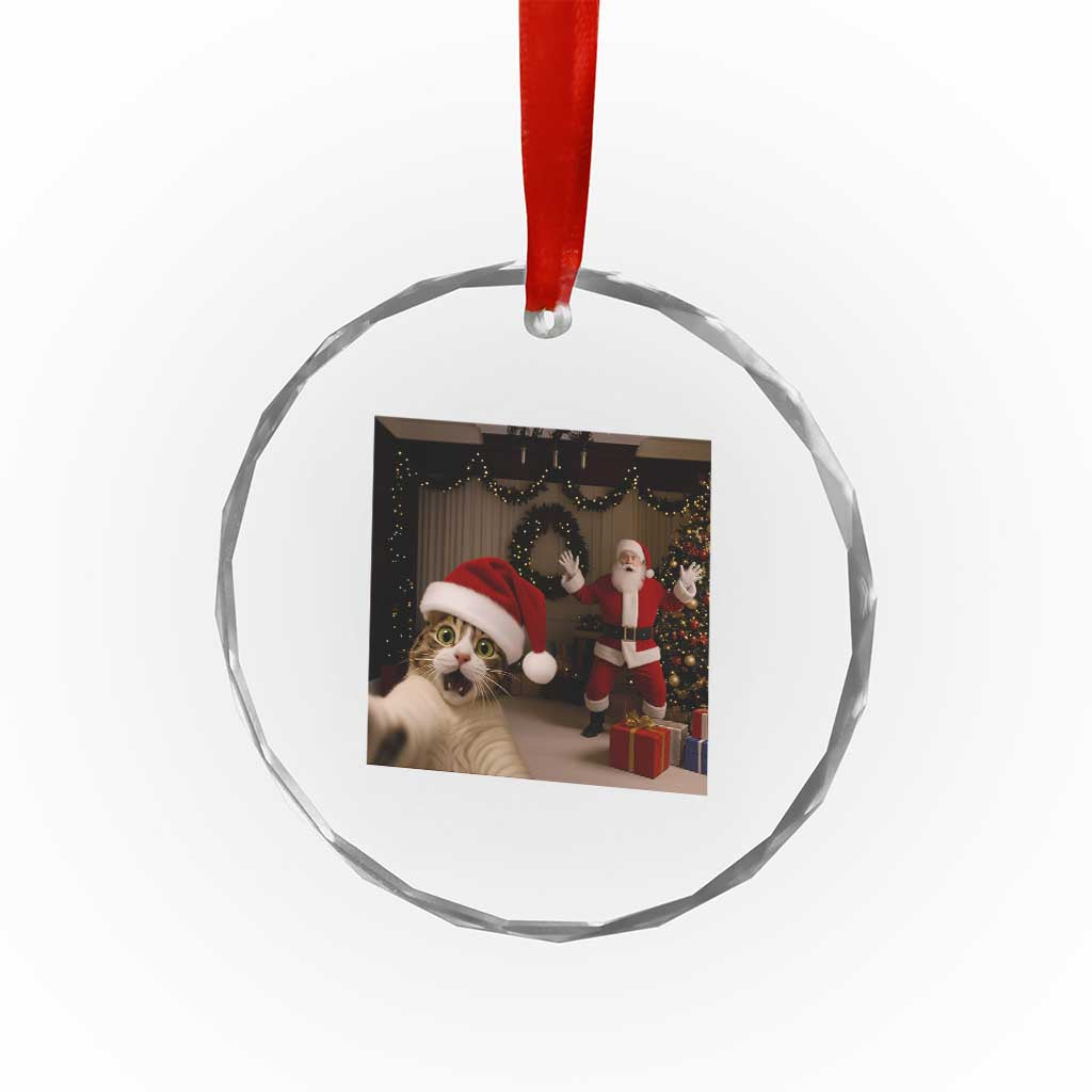Funny Cat With Santa Selfie Christmas Crystal Glass Ornament TS14 Print Your Wear