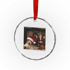 Funny Cat With Santa Selfie Christmas Crystal Glass Ornament TS14 Print Your Wear