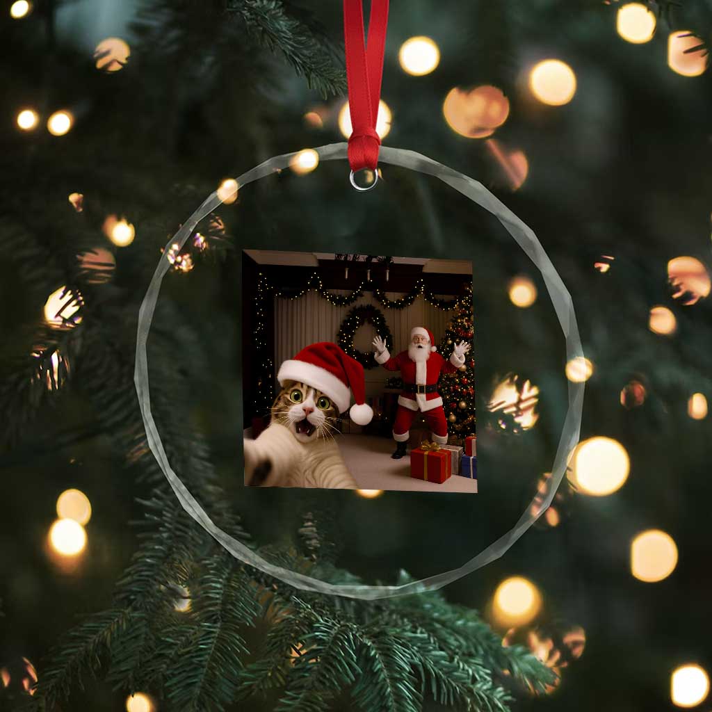 Funny Cat With Santa Selfie Christmas Crystal Glass Ornament TS14 Print Your Wear