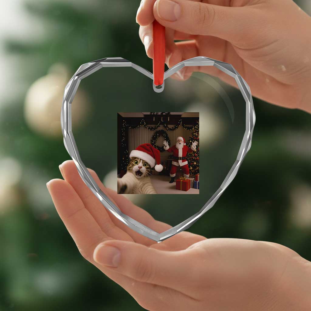 Funny Cat With Santa Selfie Christmas Heart Crystal Glass Ornament TS14 Print Your Wear