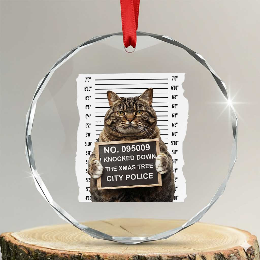Funny Cat Xmas Crystal Glass Ornament Mugshot I Knocked Down The Xmas Tree TS10 Transparent Glass 3'' Circle Print Your Wear