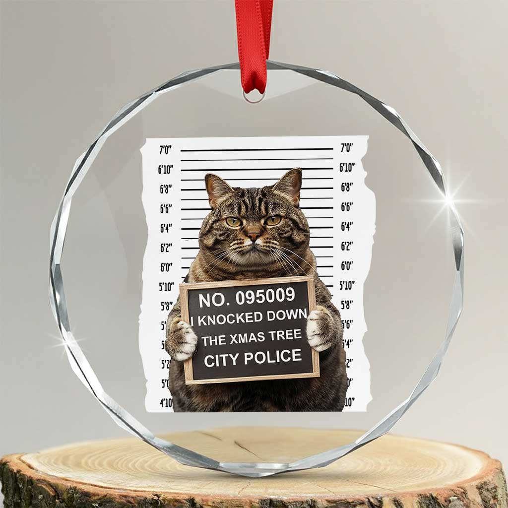 Funny Cat Xmas Crystal Glass Ornament Mugshot I Knocked Down The Xmas Tree TS10 Transparent Glass 3'' Circle Print Your Wear