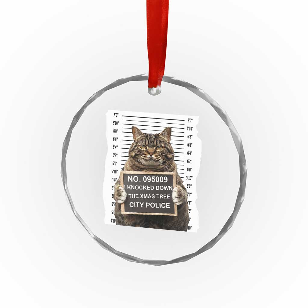 Funny Cat Xmas Crystal Glass Ornament Mugshot I Knocked Down The Xmas Tree TS10 Print Your Wear