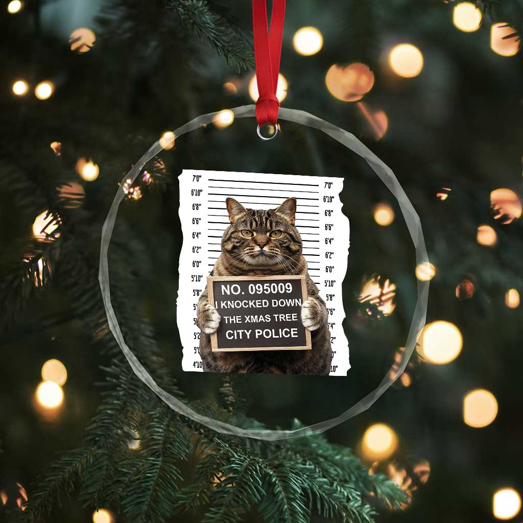 Funny Cat Xmas Crystal Glass Ornament Mugshot I Knocked Down The Xmas Tree TS10 Print Your Wear