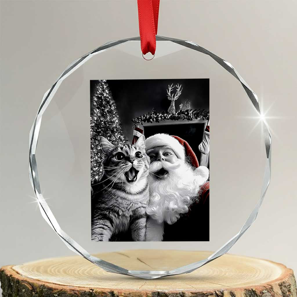 Funny Christmas Cat Selfie With Santa Crystal Glass Ornament TS09 Transparent Glass 3'' Circle Print Your Wear