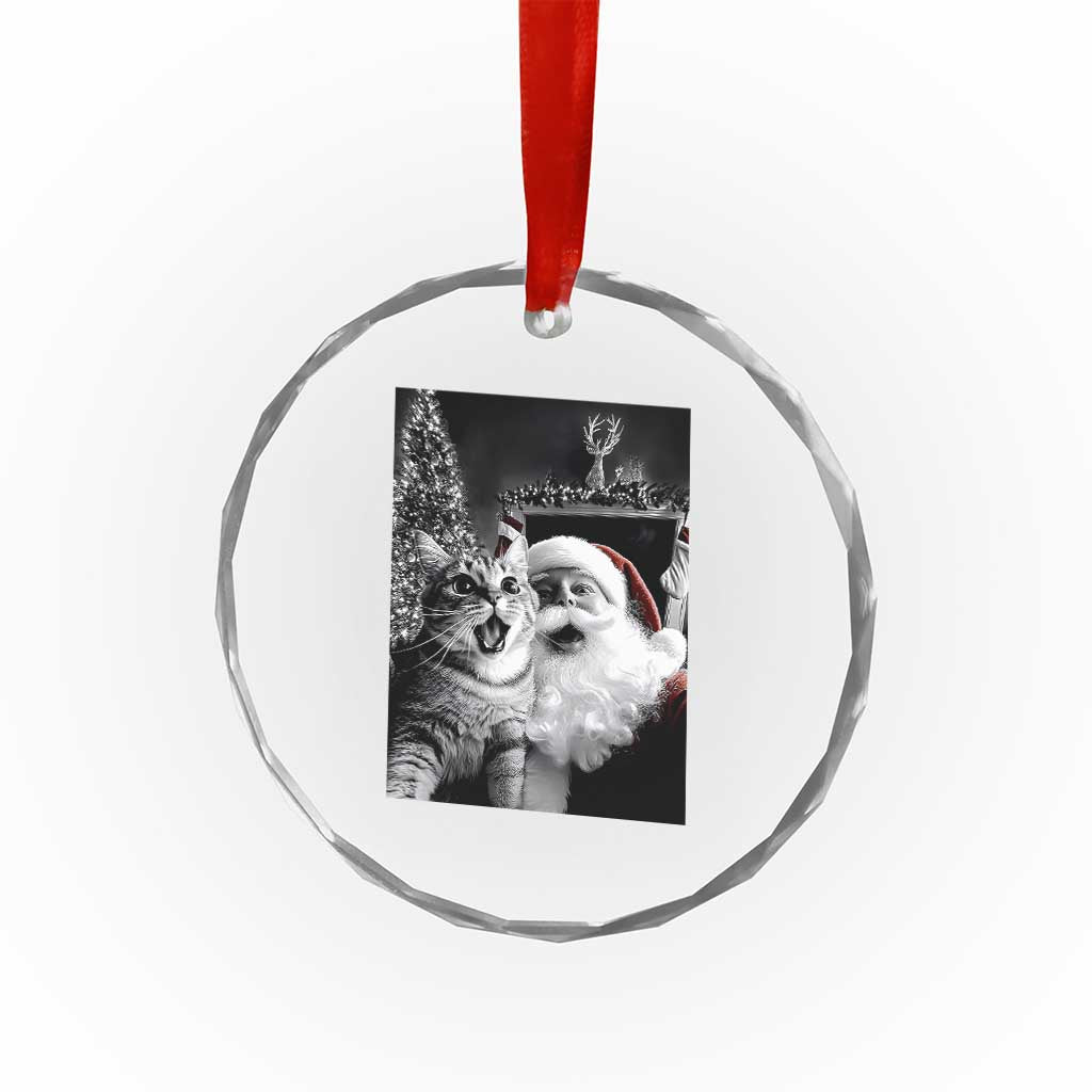 Funny Christmas Cat Selfie With Santa Crystal Glass Ornament TS09 Print Your Wear