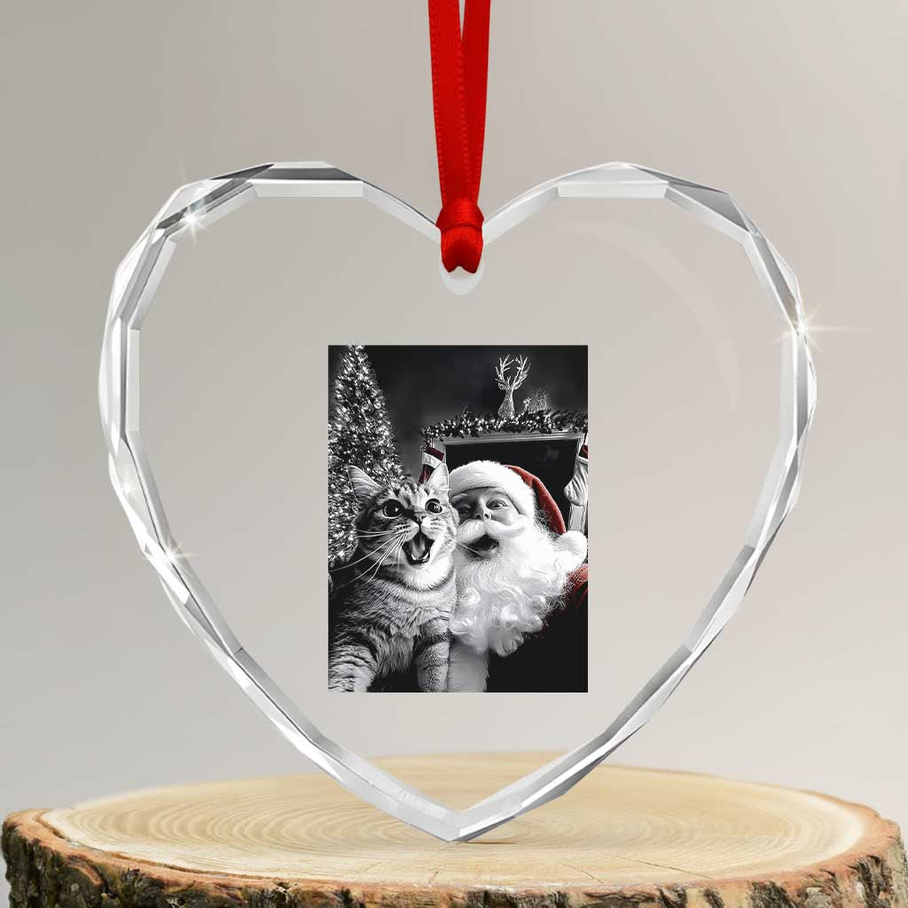 Funny Christmas Cat Selfie With Santa Heart Crystal Glass Ornament TS09 Transparent Glass 3'' Heart Print Your Wear