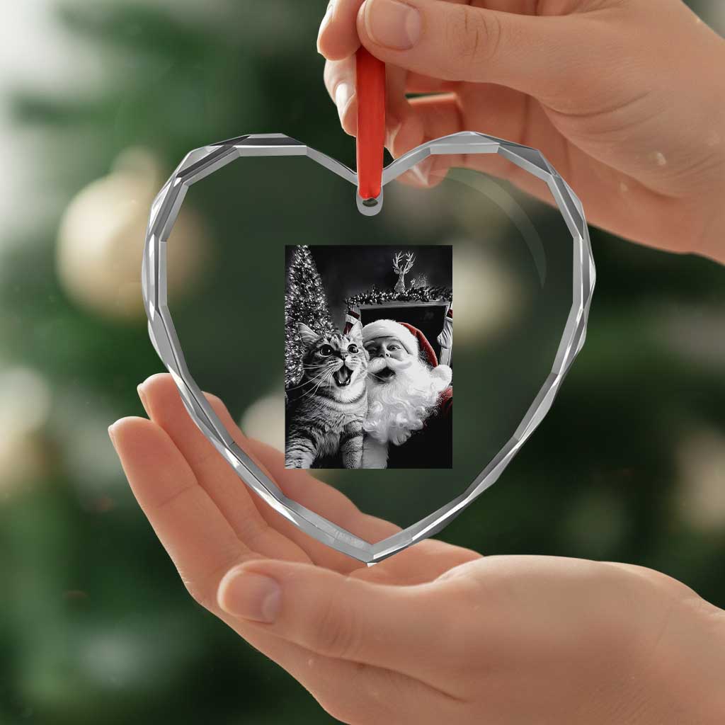 Funny Christmas Cat Selfie With Santa Heart Crystal Glass Ornament TS09 Print Your Wear