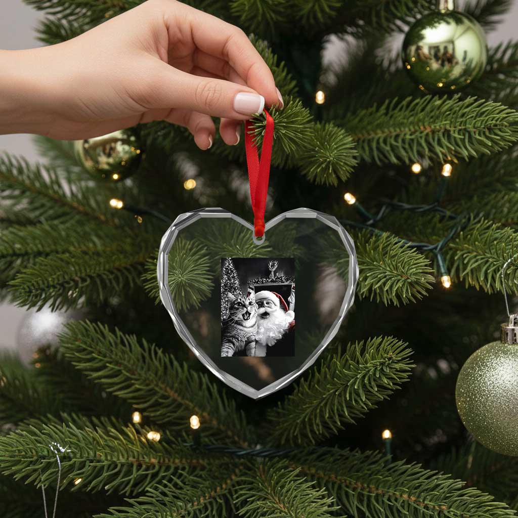 Funny Christmas Cat Selfie With Santa Heart Crystal Glass Ornament TS09 Print Your Wear