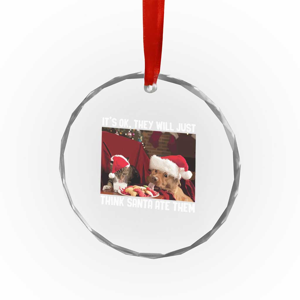 Funny Christmas Dog And Cat Crystal Glass Ornament It's Ok They Will Just Think Santa Ate Them TS11 Print Your Wear