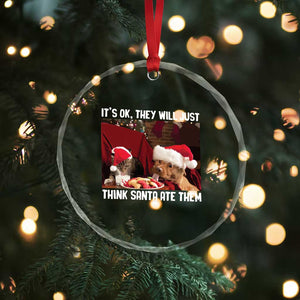 Funny Christmas Dog And Cat Crystal Glass Ornament It's Ok They Will Just Think Santa Ate Them TS11 Print Your Wear