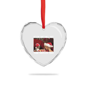 Funny Christmas Dog And Cat Heart Crystal Glass Ornament It's Ok They Will Just Think Santa Ate Them TS11 Print Your Wear