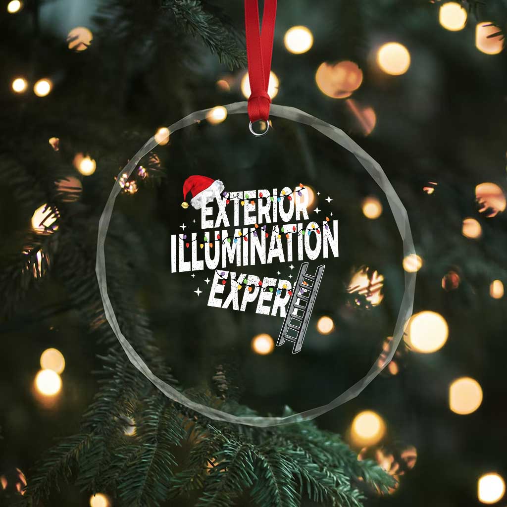 Funny Christmas Exterior Illumination Expert Crystal Glass Ornament Xmas Lights Decorator TS11 Print Your Wear