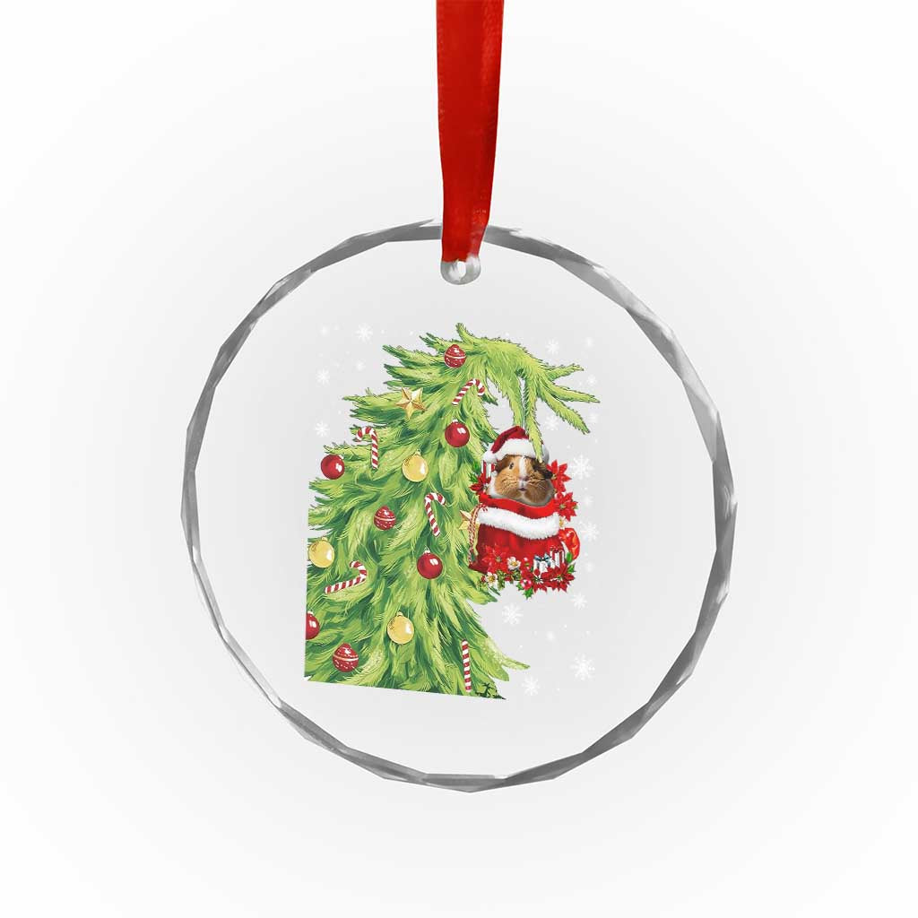 Funny Christmas Guinea In Green Hand Naughty Crystal Glass Ornament Cute Pet Lover Gift TS12 Print Your Wear