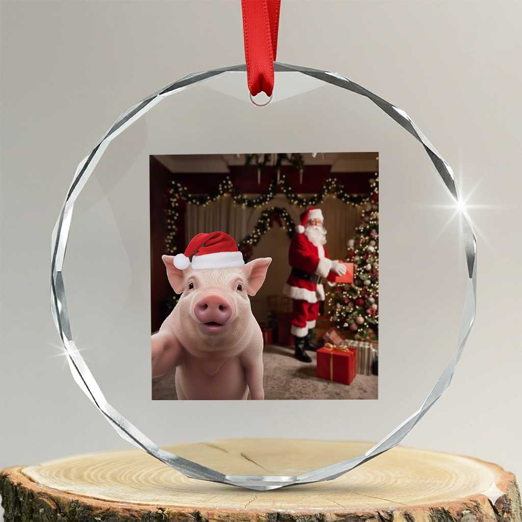 Funny Christmas Pig Selfie With Santa Gift Crystal Glass Ornament TS12 Transparent Glass 3'' Circle Print Your Wear