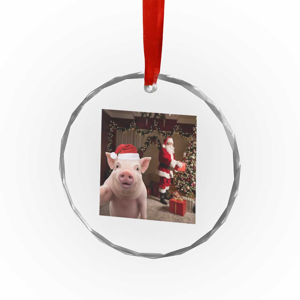 Funny Christmas Pig Selfie With Santa Gift Crystal Glass Ornament TS12 Print Your Wear
