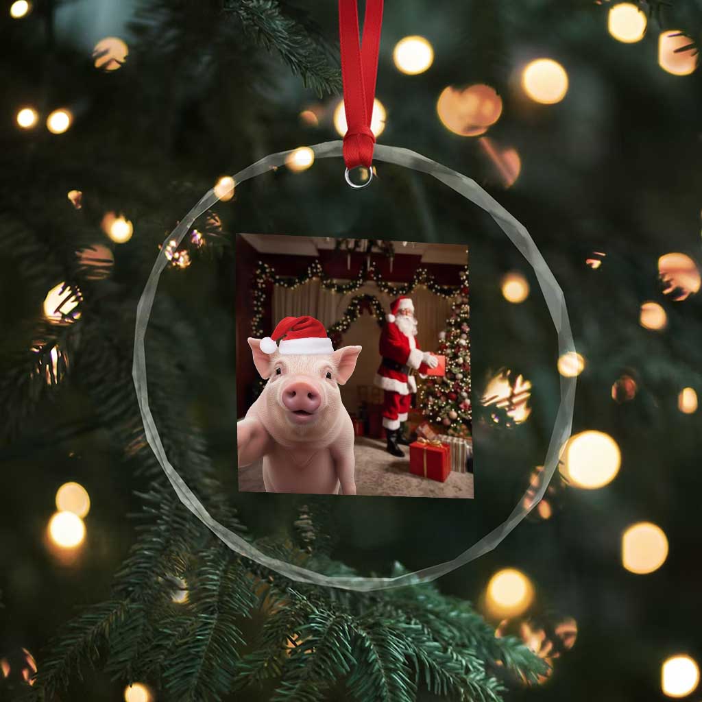 Funny Christmas Pig Selfie With Santa Gift Crystal Glass Ornament TS12 Print Your Wear