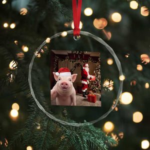 Funny Christmas Pig Selfie With Santa Gift Crystal Glass Ornament TS12 Print Your Wear