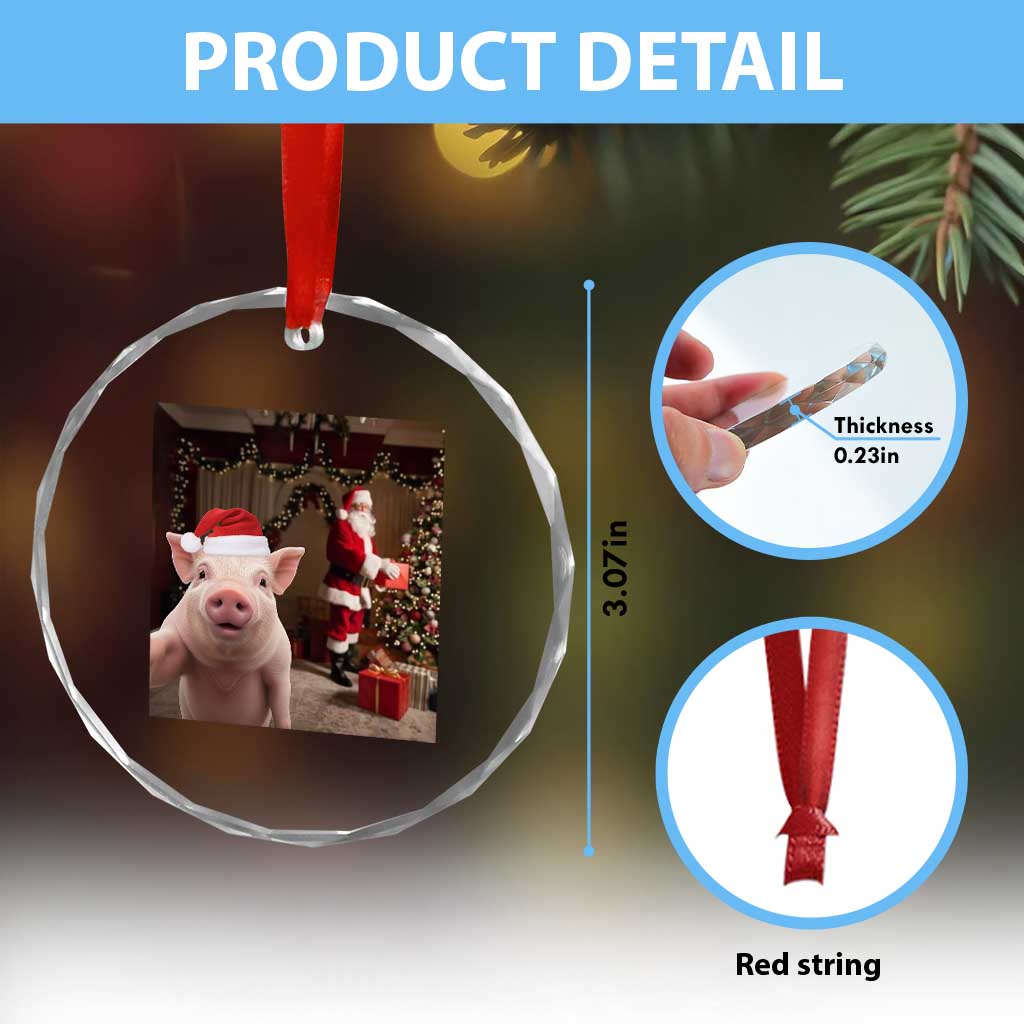 Funny Christmas Pig Selfie With Santa Gift Crystal Glass Ornament TS12 Print Your Wear