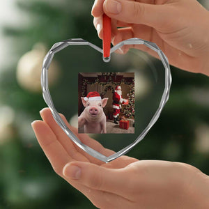Funny Christmas Pig Selfie With Santa Gift Heart Crystal Glass Ornament TS12 Print Your Wear