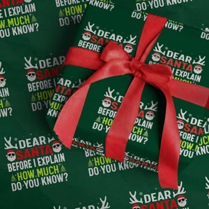 Funny Christmas Wrapping Paper Roll Dear Santa I Can Explain How Much Do You Know TS10 Green Print Your Wear