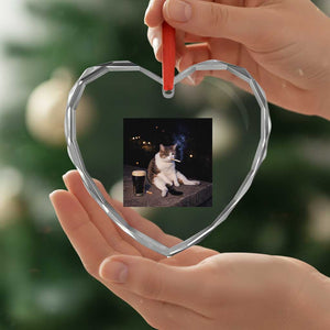 Funny Cigarette And Drinking Irish Stout Beer Cat Meme Heart Crystal Glass Ornament TS11 Print Your Wear