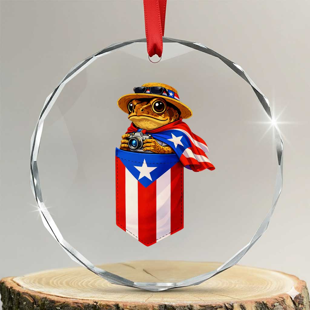 Funny Coqui Frog Puerto Rico Flag Crystal Glass Ornament Puerto Rican Taino Buricua Borinquen TS10 Transparent Glass 3'' Circle Print Your Wear