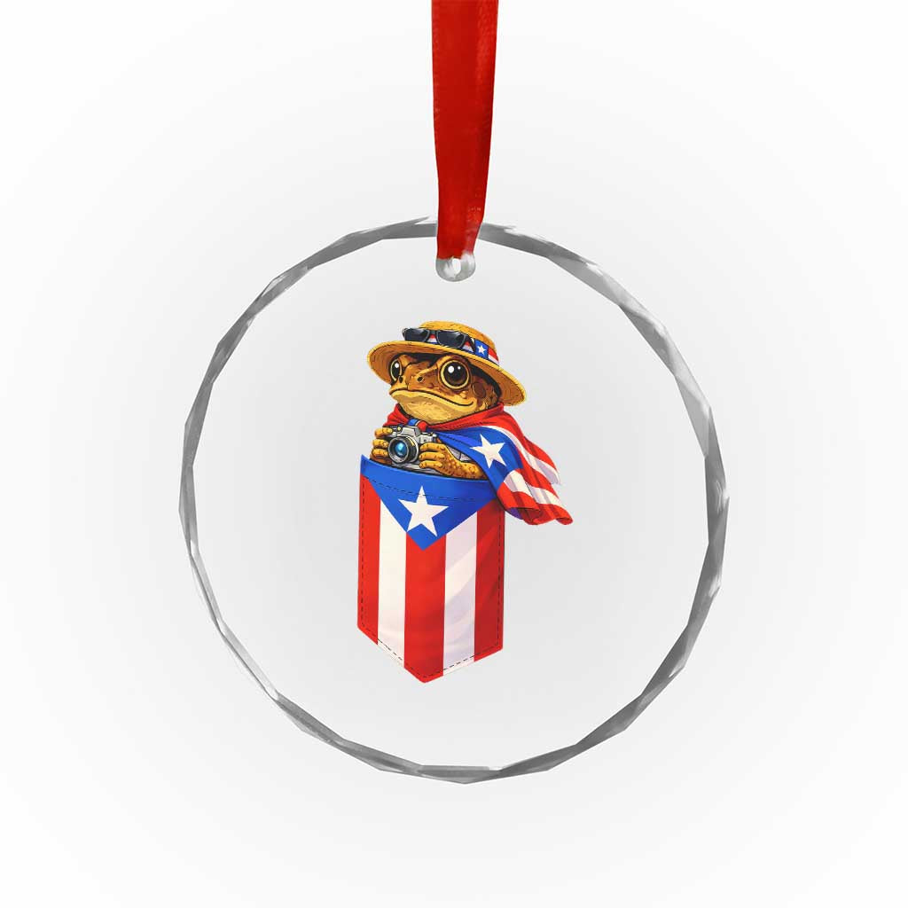 Funny Coqui Frog Puerto Rico Flag Crystal Glass Ornament Puerto Rican Taino Buricua Borinquen TS10 Print Your Wear