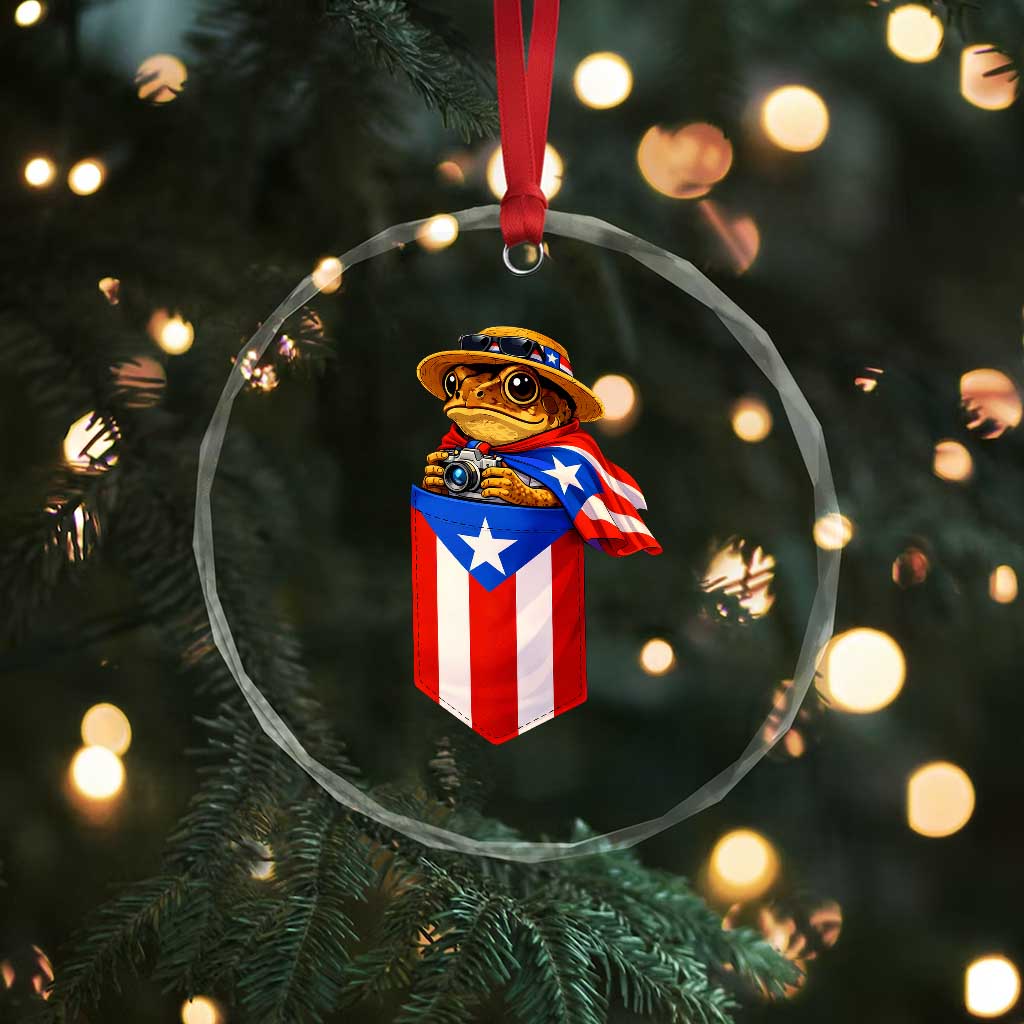 Funny Coqui Frog Puerto Rico Flag Crystal Glass Ornament Puerto Rican Taino Buricua Borinquen TS10 Print Your Wear