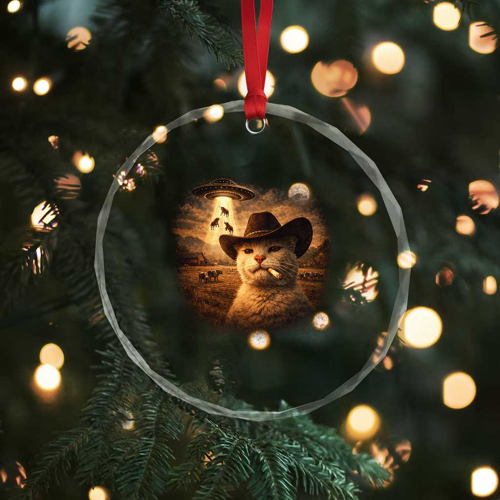 Funny Cowboy Cat UFO Crystal Glass Ornament Retro Western Rodeo Meme Cats Lover Gift TS10 Print Your Wear