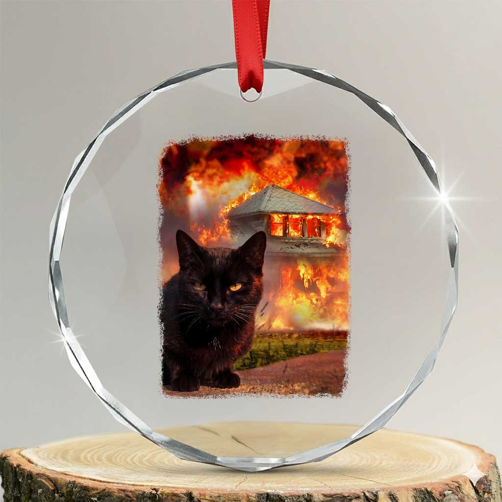 Funny Crazy Cat Selfie Crystal Glass Ornament Bad Kitty Chaos Humor Graphic TS12 Transparent Glass 3'' Circle Print Your Wear