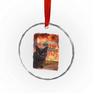 Funny Crazy Cat Selfie Crystal Glass Ornament Bad Kitty Chaos Humor Graphic TS12 Print Your Wear