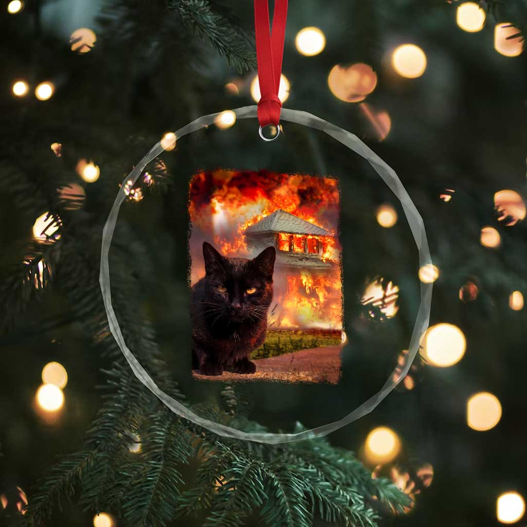 Funny Crazy Cat Selfie Crystal Glass Ornament Bad Kitty Chaos Humor Graphic TS12 Print Your Wear